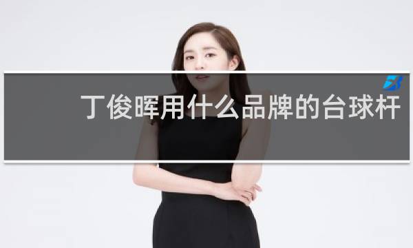 丁俊晖用什么品牌的台球杆