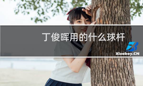 丁俊晖用的什么球杆