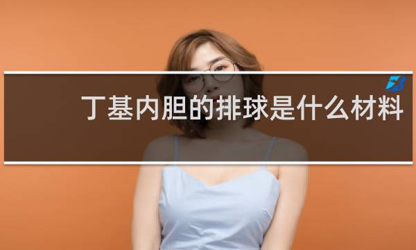 丁基内胆的排球是什么材料