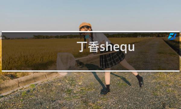 丁香shequ图片