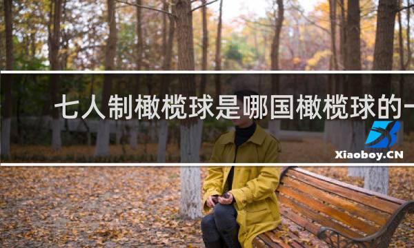 七人制橄榄球是哪国橄榄球的一种与传统的橄榄球相比