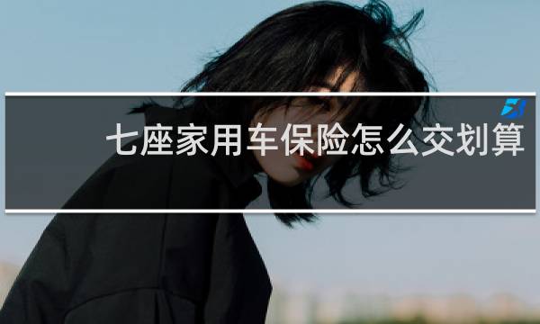 七座家用车保险怎么交划算图片