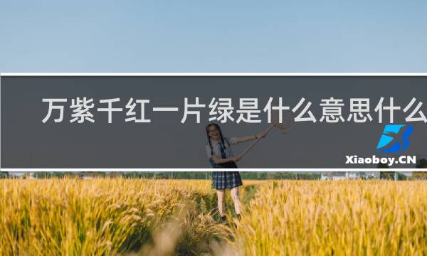 万紫千红一片绿是什么意思什么梗