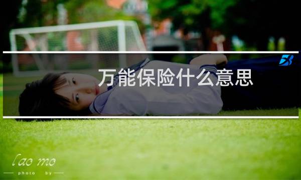 万能保险什么意思图片