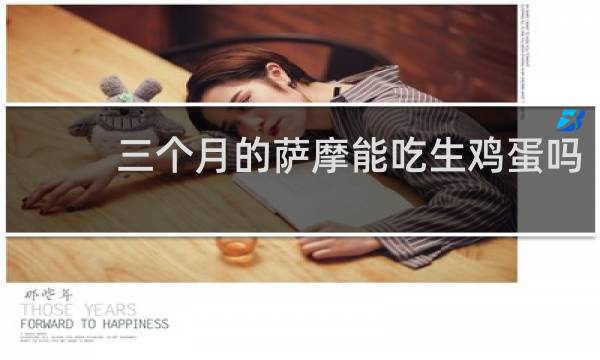 三个月的萨摩能吃生鸡蛋吗