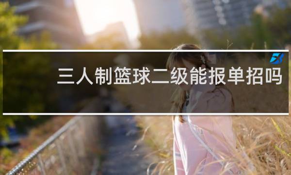 三人制篮球二级能报单招吗