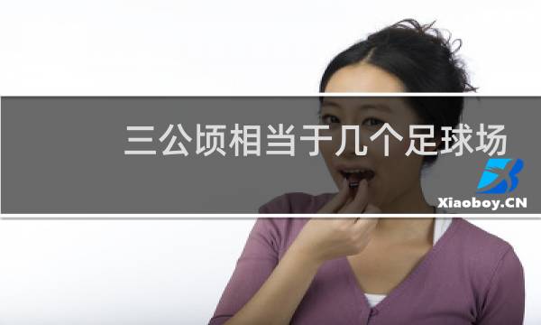 三公顷相当于几个足球场