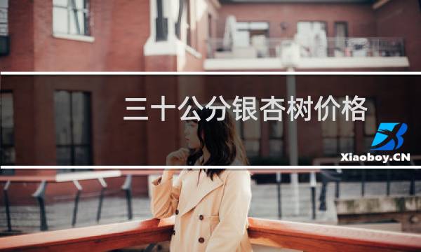 三十公分银杏树价格