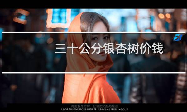 三十公分银杏树价钱