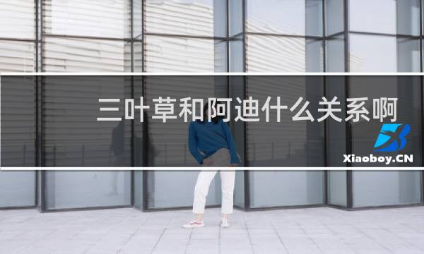 三叶草和阿迪什么关系啊