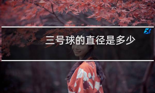 三号球的直径是多少