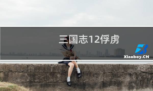 三国志12俘虏（三国志12不好玩）图片