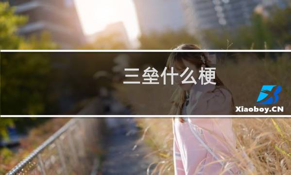 三垒什么梗