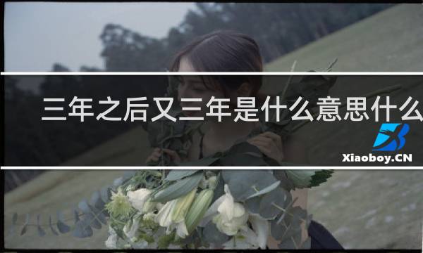 三年之后又三年是什么意思什么梗