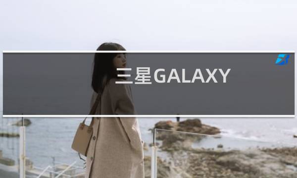 三星GALAXY Tab P7310有LED闪光灯