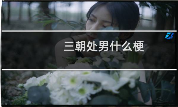 三朝处男什么梗
