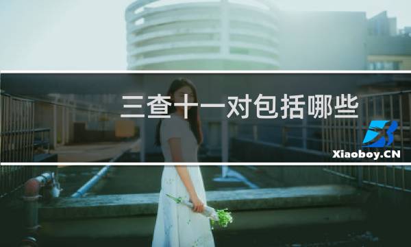三查十一对包括哪些