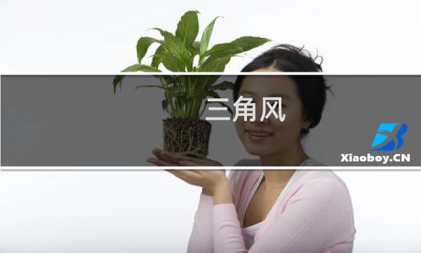 三角风