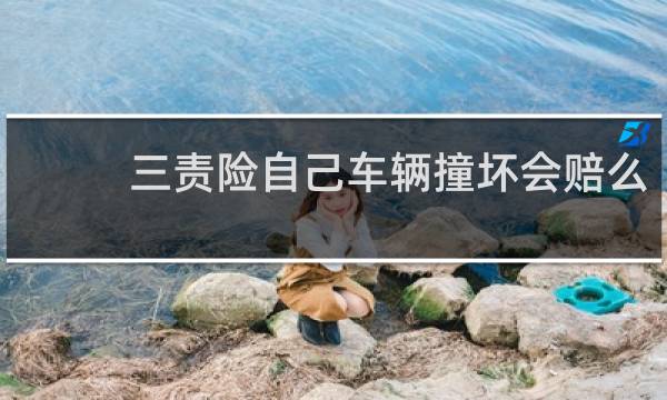 三责险自己车辆撞坏会赔么