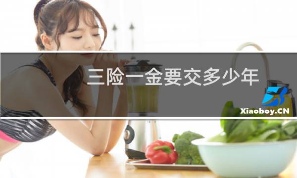 三险一金要交多少年