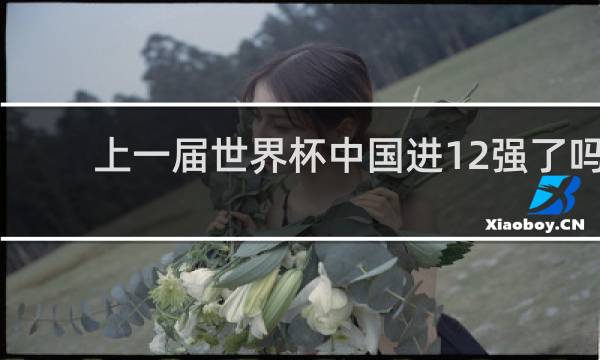 上一届世界杯中国进12强了吗