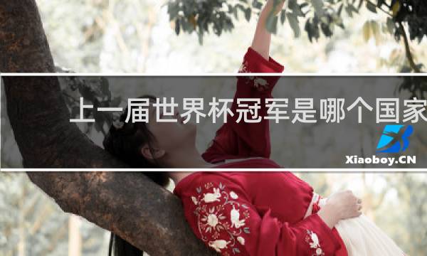 上一届世界杯冠军是哪个国家