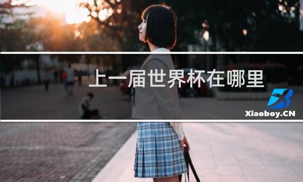 上一届世界杯在哪里