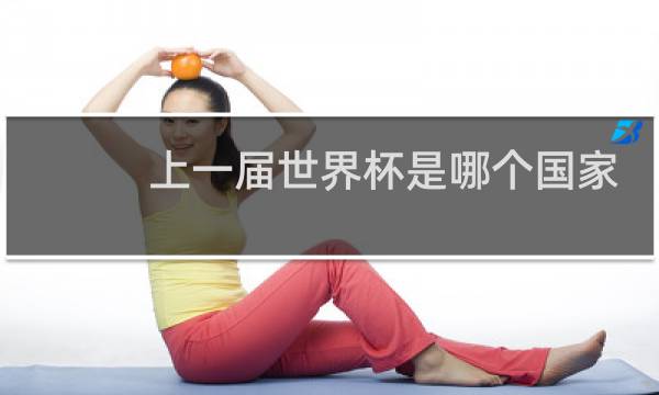 上一届世界杯是哪个国家的