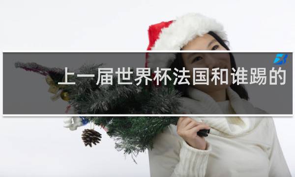 上一届世界杯法国和谁踢的