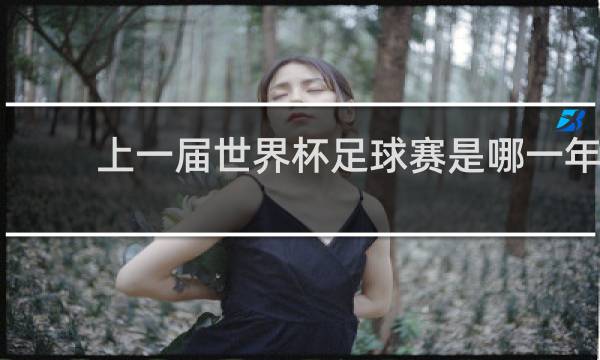 上一届世界杯足球赛是哪一年