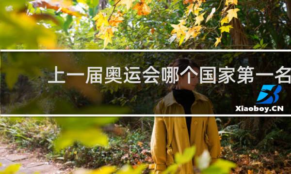 上一届奥运会哪个国家第一名