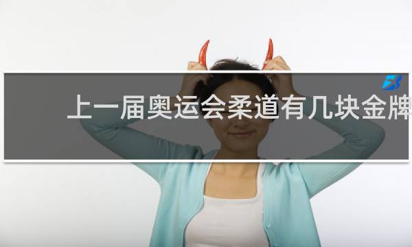 上一届奥运会柔道有几块金牌