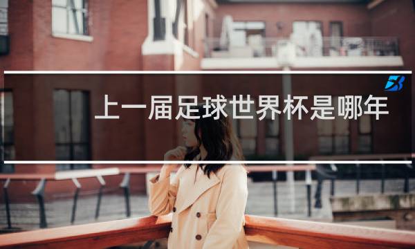 上一届足球世界杯是哪年