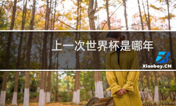 上一次世界杯是哪年