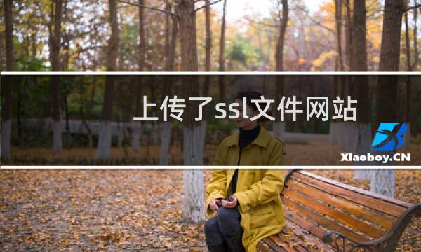 上传了ssl文件网站也无法用https打开