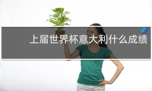 上届世界杯意大利什么成绩