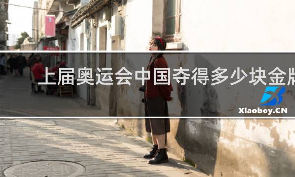 上届奥运会中国夺得多少块金牌