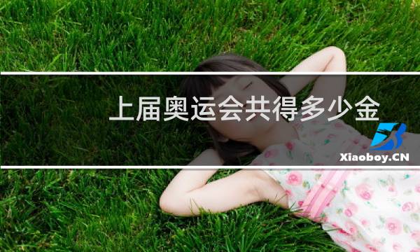 上届奥运会共得多少金