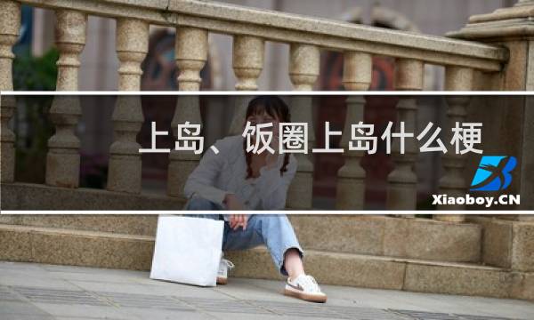 上岛、饭圈上岛什么梗