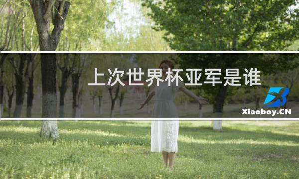 上次世界杯亚军是谁