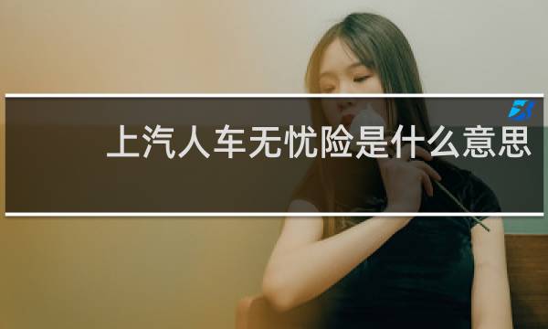 上汽人车无忧险是什么意思