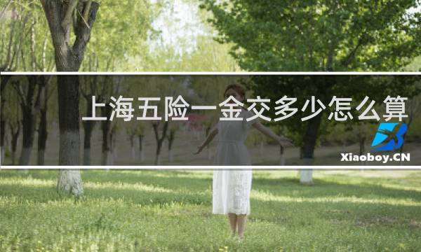 上海五险一金交多少怎么算图片