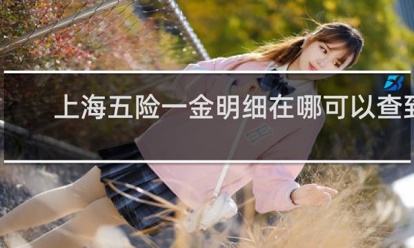 上海五险一金明细在哪可以查到