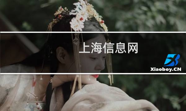 上海信息网