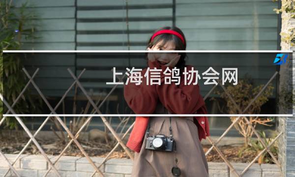 上海信鸽协会网