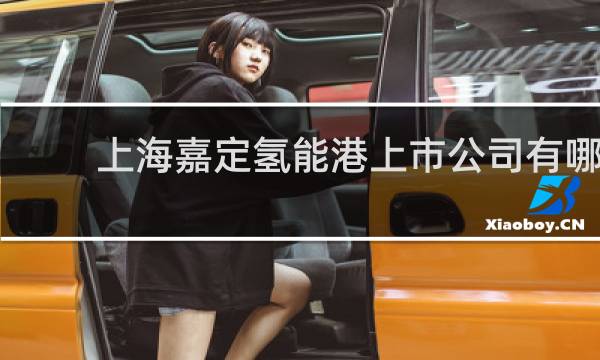 上海嘉定氢能港上市公司有哪些图片