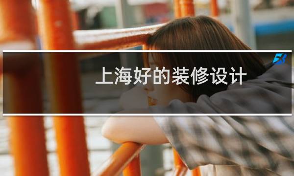 上海好的装修设计图片
