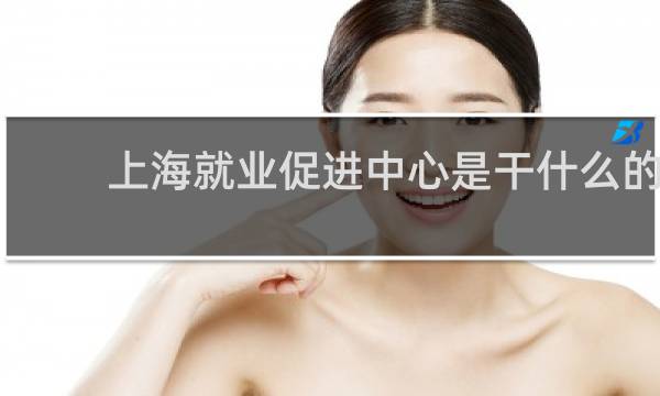 上海就业促进中心是干什么的