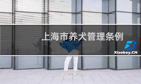 上海市养犬管理条例