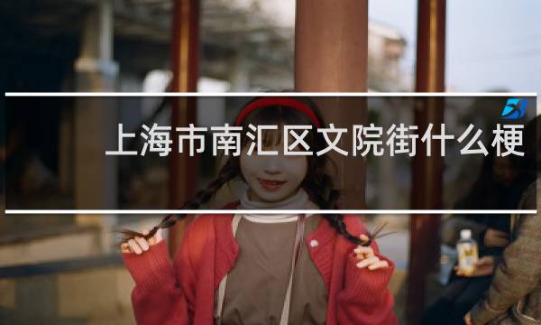 上海市南汇区文院街什么梗